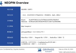 NEOPIN 估值展望：探寻 DeFi + CeFi 的最优解